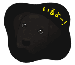 Doc the Labrador Retriever sticker #7364475