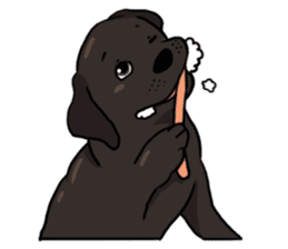 Doc the Labrador Retriever sticker #7364476