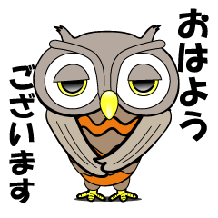 Contact innocent Owl