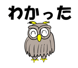 Contact innocent Owl sticker #7365797