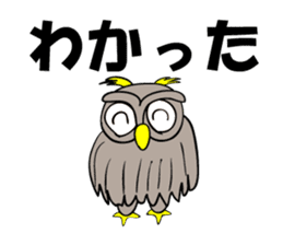 Contact innocent Owl sticker #7365797