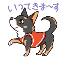 Kou-chang Chihuahua sticker #7369813