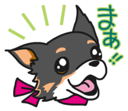 Kou-chang Chihuahua sticker #7369814