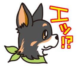 Kou-chang Chihuahua sticker #7369815