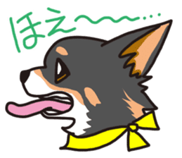 Kou-chang Chihuahua sticker #7369816