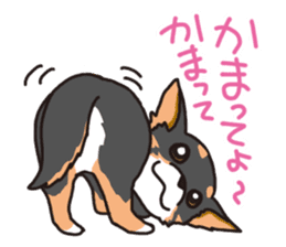 Kou-chang Chihuahua sticker #7369822
