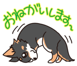 Kou-chang Chihuahua sticker #7369824