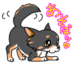 Kou-chang Chihuahua sticker #7369825