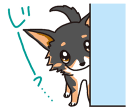 Kou-chang Chihuahua sticker #7369826