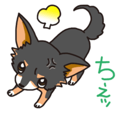 Kou-chang Chihuahua sticker #7369827