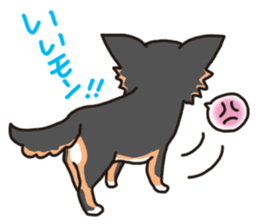 Kou-chang Chihuahua sticker #7369828