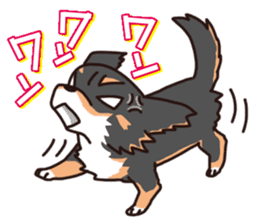Kou-chang Chihuahua sticker #7369829