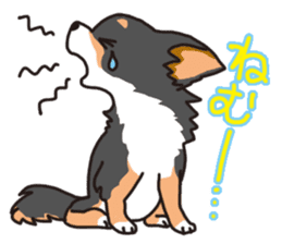 Kou-chang Chihuahua sticker #7369830