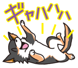 Kou-chang Chihuahua sticker #7369834