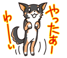 Kou-chang Chihuahua sticker #7369835