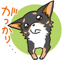 Kou-chang Chihuahua sticker #7369837