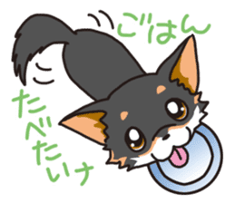 Kou-chang Chihuahua sticker #7369838