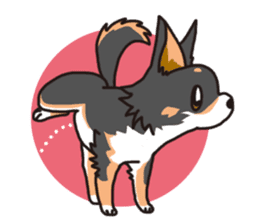 Kou-chang Chihuahua sticker #7369844