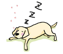 onigirineko&aoiinu sticker #7372266