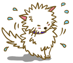 Dog pochi of the northern country sticker #7374584