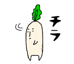 Day-to-day radish sticker #7376636