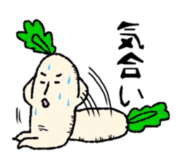 Day-to-day radish sticker #7376638