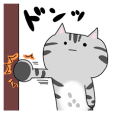 Love American Shorthair sticker #7377956