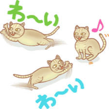 Cat true story 2 (Japanese) sticker #7380304