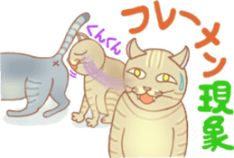 Cat true story 2 (Japanese) sticker #7380315