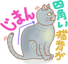 Cat true story 2 (Japanese) sticker #7380316