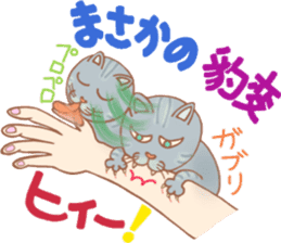 Cat true story 2 (Japanese) sticker #7380318
