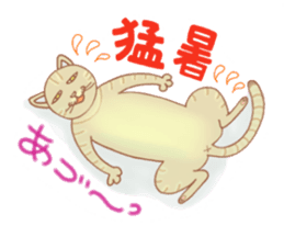 Cat true story 2 (Japanese) sticker #7380323