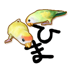 Real bird sticker2