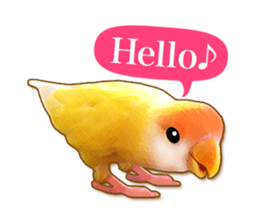 Real bird sticker2 sticker #7381212