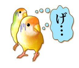 Real bird sticker2 sticker #7381219