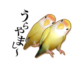 Real bird sticker2 sticker #7381220