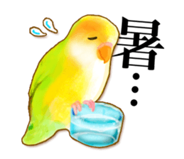 Real bird sticker2 sticker #7381221