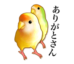 Real bird sticker2 sticker #7381222