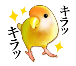 Real bird sticker2 sticker #7381223