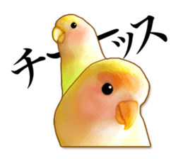 Real bird sticker2 sticker #7381224