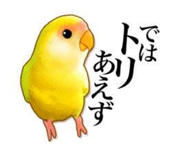 Real bird sticker2 sticker #7381225