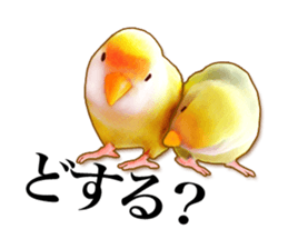 Real bird sticker2 sticker #7381226