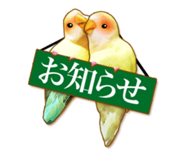 Real bird sticker2 sticker #7381227