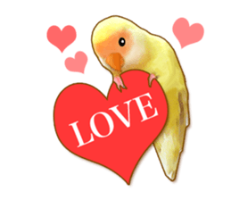 Real bird sticker2 sticker #7381228