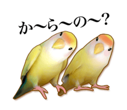 Real bird sticker2 sticker #7381230