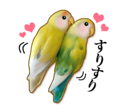 Real bird sticker2 sticker #7381231