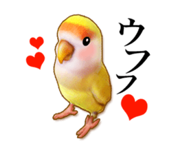 Real bird sticker2 sticker #7381232
