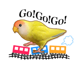 Real bird sticker2 sticker #7381236