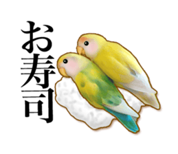 Real bird sticker2 sticker #7381237