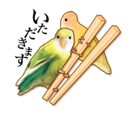 Real bird sticker2 sticker #7381238